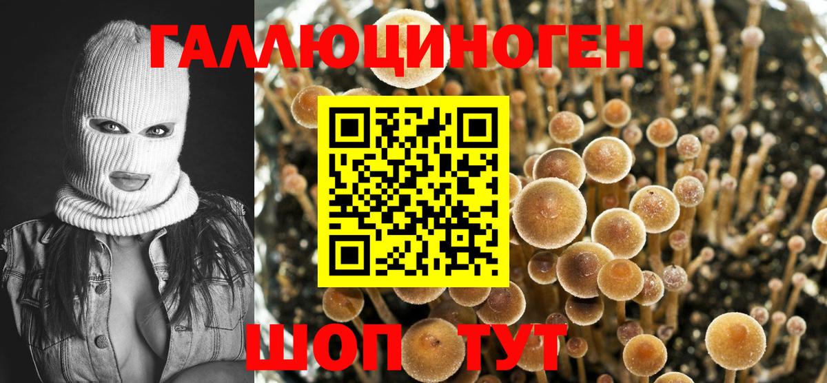 Галлюциногенные грибы Cubensis Асбест